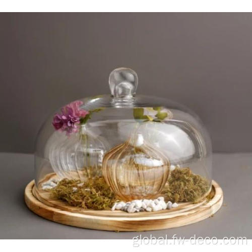 Glass Cake Dome Glass Cloche Bell Jar Display Dome cover Factory